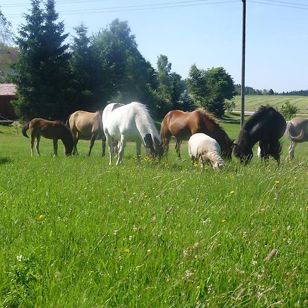 Landgasthof Zum Schwanen Hornberg Exterior foto