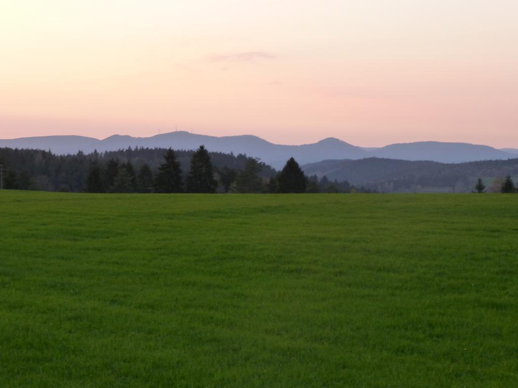 Landgasthof Zum Schwanen Hornberg Exterior foto
